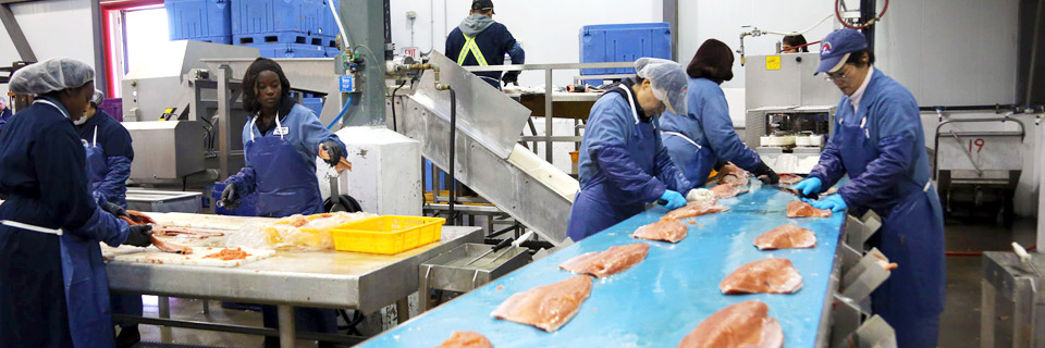 Read more about the article Krytox lubricants for Food Processing